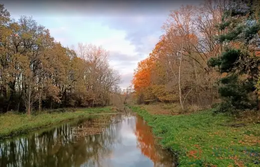 Ruda żmigrodzka ,  Bielika   6