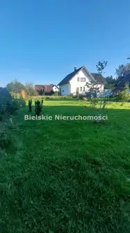 Pietrzykowice ,  Bory   2