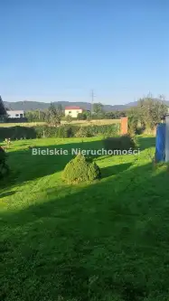 Pietrzykowice ,  Bory   5