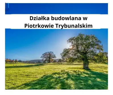 Piotrków trybunalski ,  Dworska  