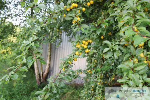 Wieliczka ,  Modrzewiowa   5