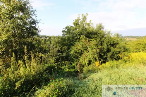 Wieliczka ,  Modrzewiowa   8