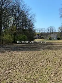 Oborniki śląskie ,  Daglezjowa  