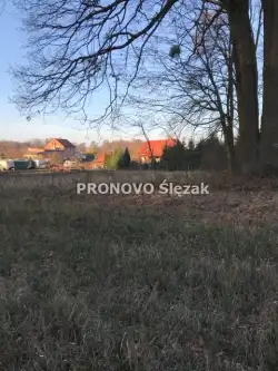 Oborniki śląskie ,  Daglezjowa   4