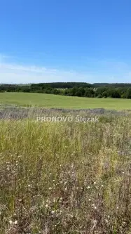 Oborniki śląskie ,  Świerzów   8