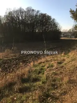 Oborniki śląskie ,  Polna   3