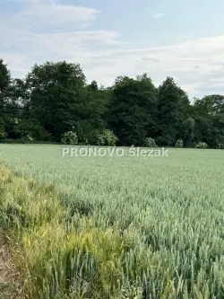  Oborniki śląskie   Borkowice 