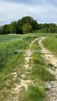 Oborniki śląskie ,  Borkowice   9