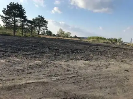 Tychy ,  Jałowcowa   6