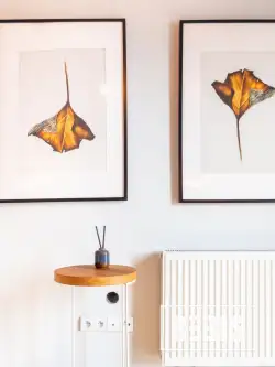 Bibice ,  Galicyjska   17