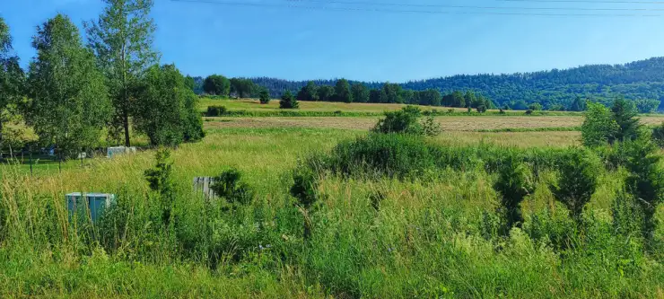 Szczytna ,  Wolności   4