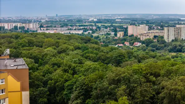 Szczecin ,  Pomarańczowa   19