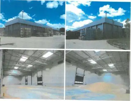 Zławieś wielka   10