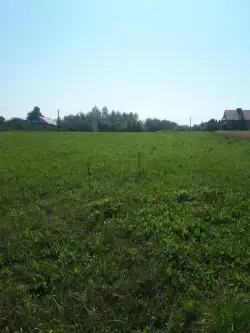 Tarnobrzeg ,  Nowa   4