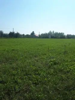 Tarnobrzeg ,  Nowa   5