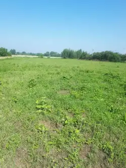 Tarnobrzeg ,  Nowa   6