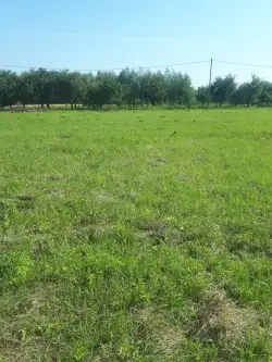 Tarnobrzeg ,  Nowa   8