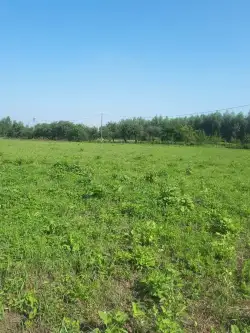 Tarnobrzeg ,  Nowa   9