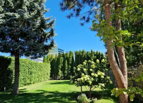 Warszawa ,  Algierska   5