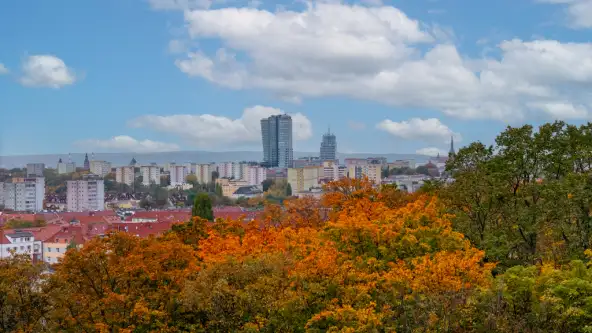 Szczecin ,  Łucznicza   9