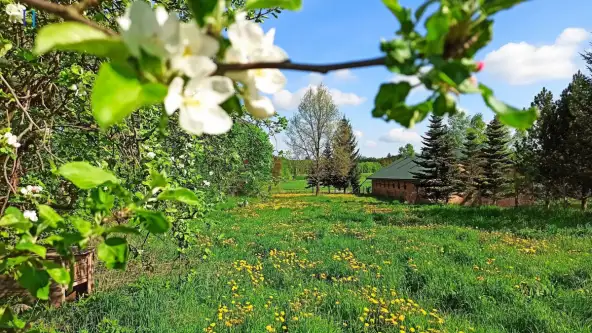 Rogów ,  Leśna  