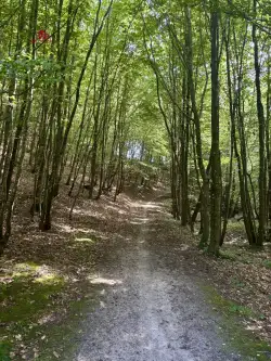 Gościcino ,  Cicha   12