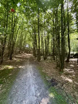 Gościcino ,  Cicha   13