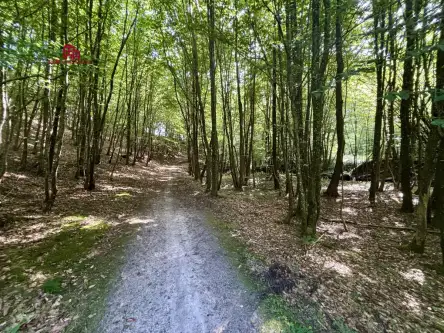 Gościcino ,  Cicha   14