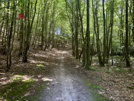 Gościcino ,  Cicha   15