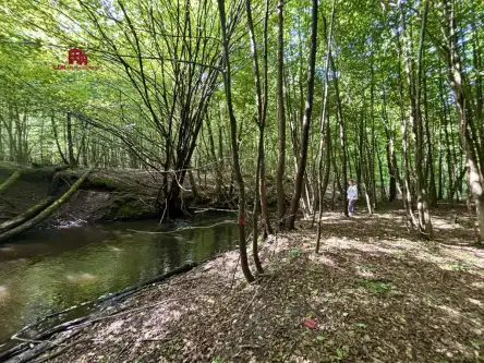 Gościcino ,  Cicha   18