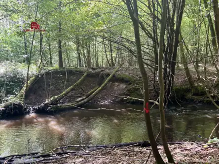 Gościcino ,  Cicha   19