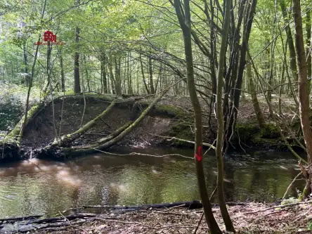 Gościcino ,  Cicha   20