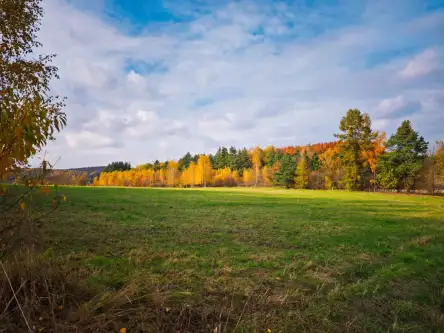 Kiełkowice ,  Starowiejska   3