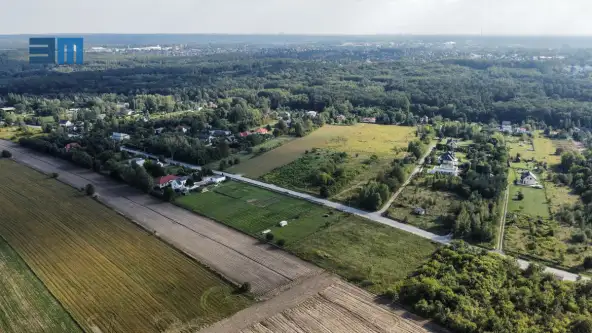 Dąbrówka wielka   6