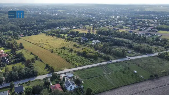 Dąbrówka wielka ,  Kasztanowa   10