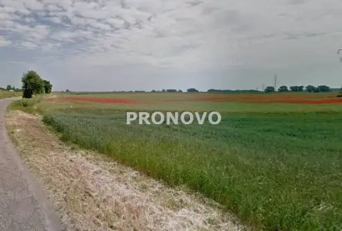 Pyrzyce ,  Ciepłownicza   5