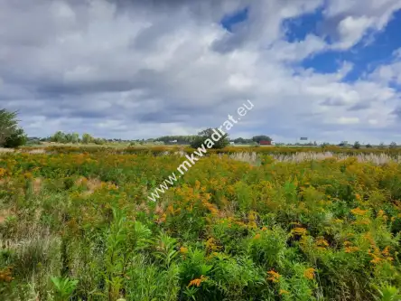  Puchały   Znakomita oferta Zadzwoń! 