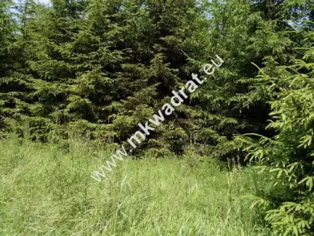 Biała rawska ,  mkwadrat.eu - tylko sprawdzone oferty   3