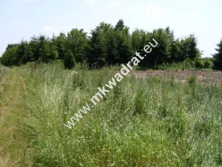 Biała rawska ,  mkwadrat.eu - tylko sprawdzone oferty   4