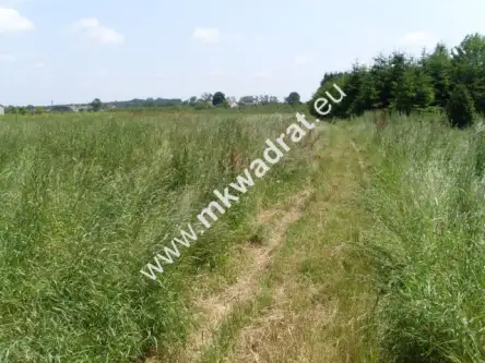 Biała rawska ,  mkwadrat.eu - tylko sprawdzone oferty   5