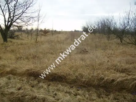 Stary łajszczew   2