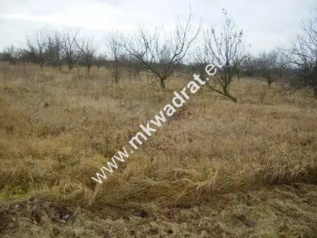 Stary łajszczew   3