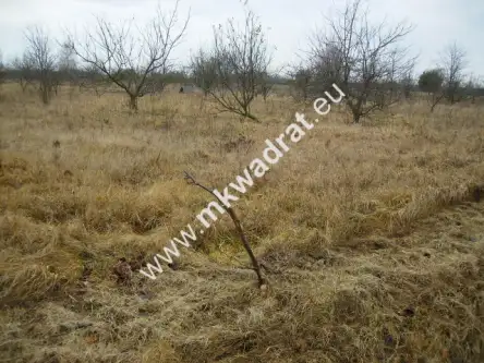 Stary łajszczew   5