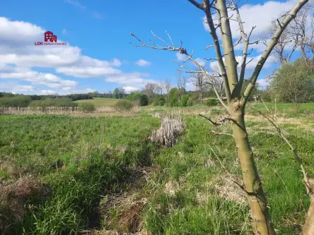 Sopieszyno ,  Długa   10