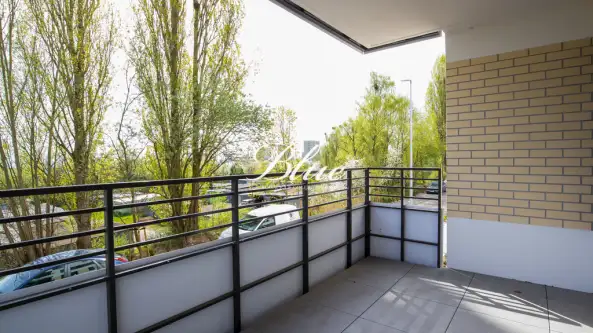 Szczecin ,  Maksymiliana Golisza   16