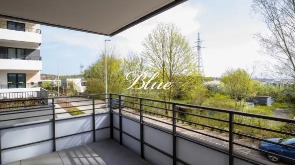 Szczecin ,  Maksymiliana Golisza   17