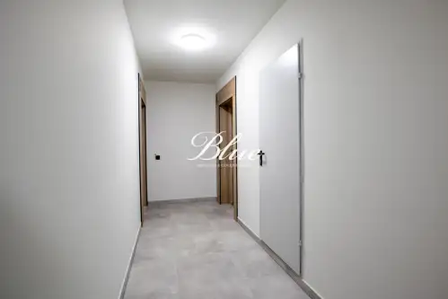 Szczecin ,  Maksymiliana Golisza   18