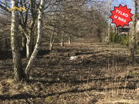 Będkowice ,  Kwiatowa   13