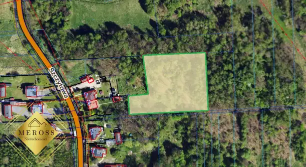 Brzeziny-kolonia   6