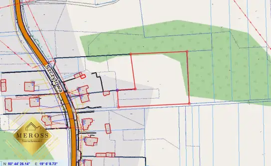 Brzeziny-kolonia   7